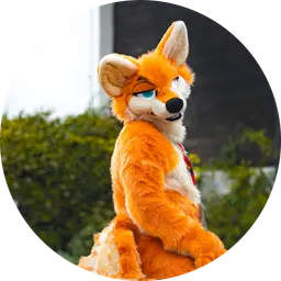 Wingo - Fursuit