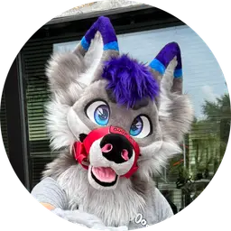 Reix - Fursuit