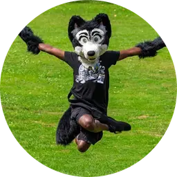 Rajiv The Indian Wolf - Fursona