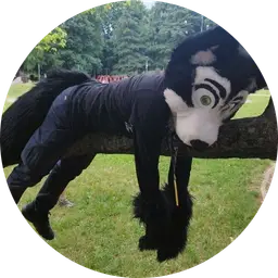 Rajiv The Indian Wolf - Fursuit